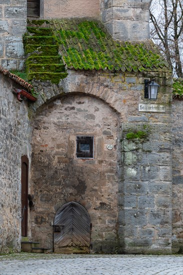 Mossy roof