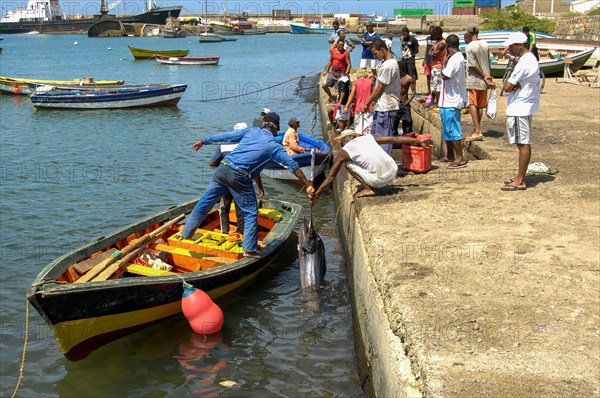 Local fishermen in small boat Wooden boat handed over to quay wall selling caught fish atlantic blue marlin