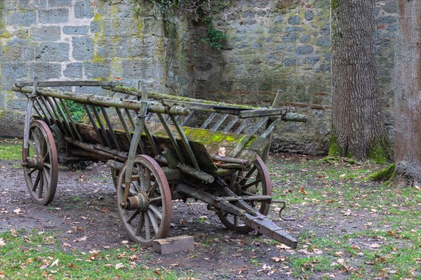 Ladder wagon