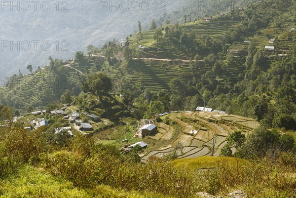 Terraced fields fields in Nagarkot