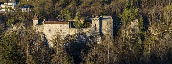 Castle ruin