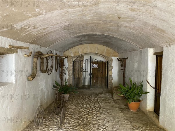 Jardines de Alfabia