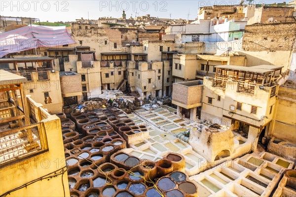 Famous tannery in sunny Fez