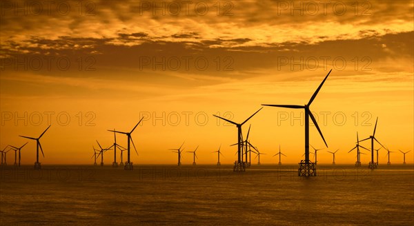 Wind turbines of the Thorntonbank Wind Farm