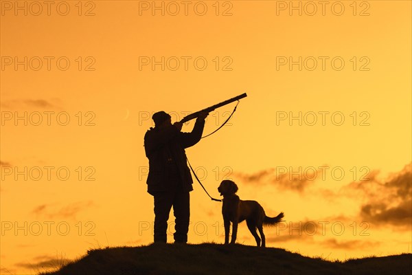 Hunter in meadow at sunset