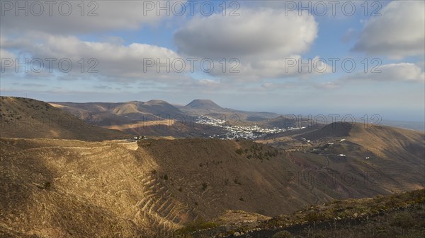 Terraced fields