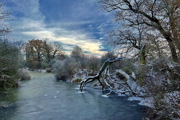 Central Elbe Biosphere Reserve