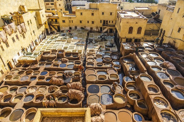 Famous skin tannery in Fes