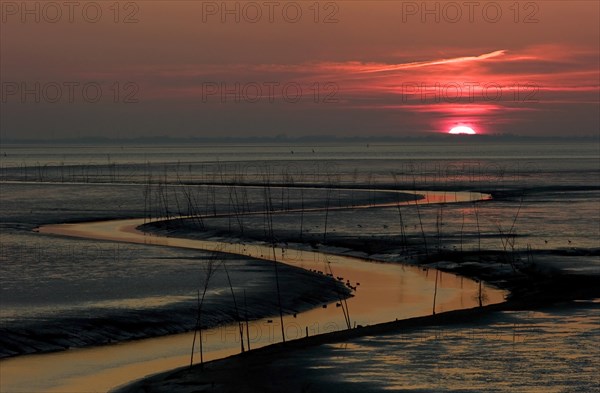 The shipping channel in the mudflats for shrimp trawlers in Wremertief at sunset