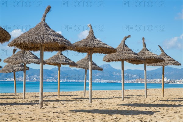 Empty beach with parasols