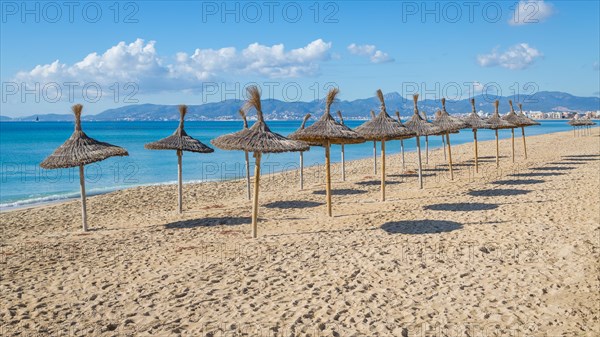 Empty beach with parasols