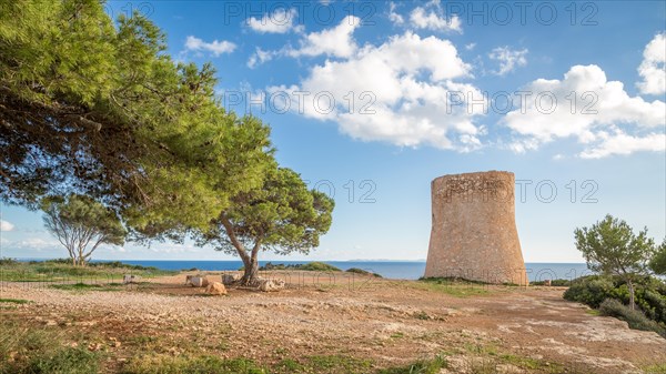 Watchtower Torre de Cala Pi