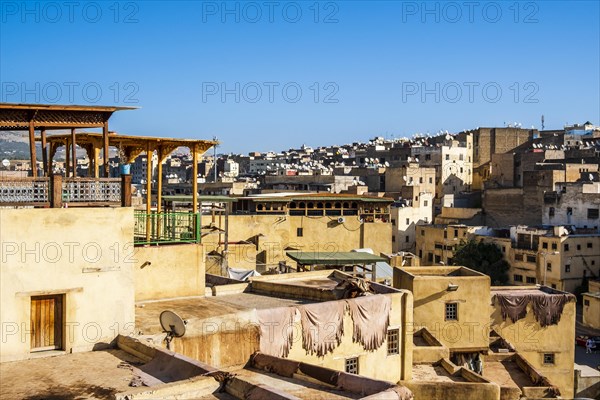 Famous skin tannery in Fes