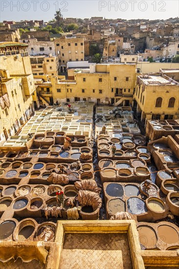 Famous skin tannery in Fes