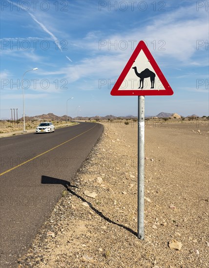 Camel warning road sign