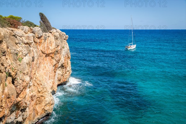 Cliff with warped trees in Cala Varques bay