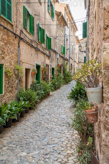 Narrow alley with plant decoration
