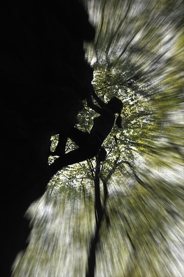 Silhouetted female rock climber climbing in sandstone cliff Wanterbaach at Berdorf