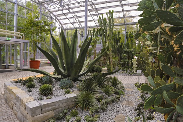 Glass plant house in the villa gardens by the lake