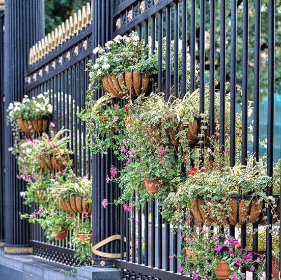 Fencing of the Alexander Garden