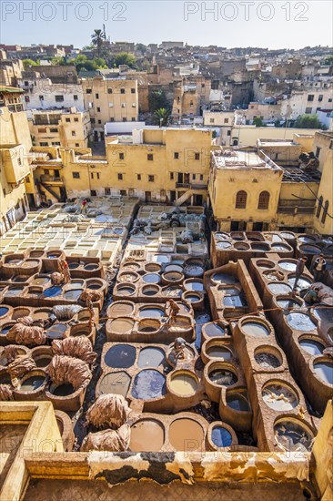 Famous skin tannery in Fes