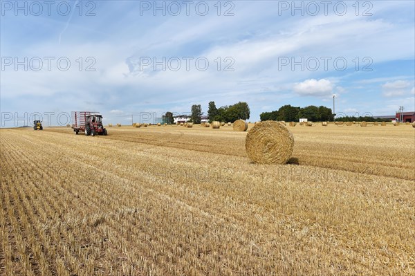 Round bales are loaded with tractor and wheel loader