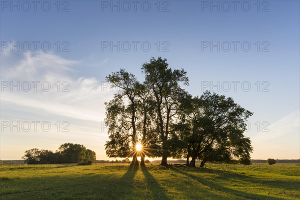 Biosphere Reserve Biosphaerenreservat Flusslandschaft Elbe