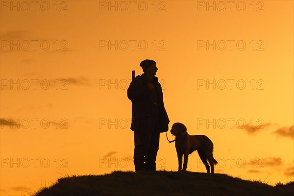 Hunter with hunting rifle and Weimaraner dog silhouetted against evening sky