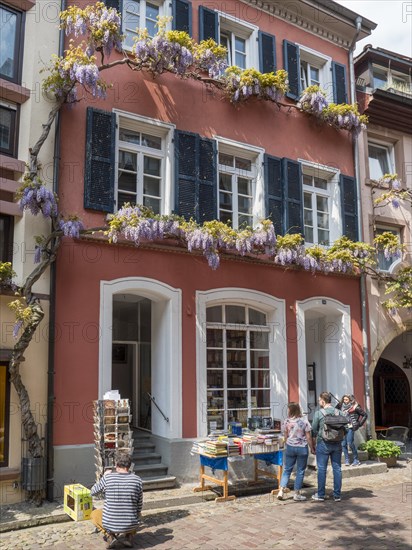 The rank-flowered Konviktstrasse is an old craftsmen's street in the old town