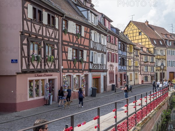 Half-timbered houses along the course of the Lauch in the district of La Petite Venise