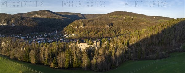 Castle ruin