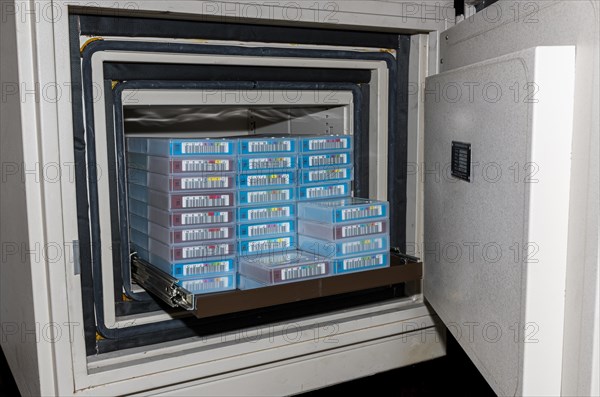 Data backup tapes are protected in a safe vault