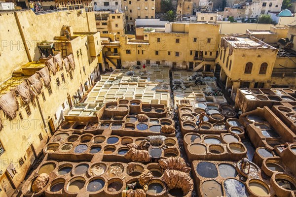 Famous skin tannery in Fes