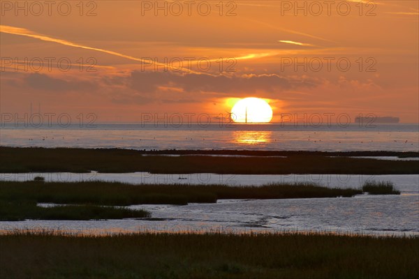 Wadden Sea near Spieka Neufeld