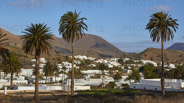 White houses