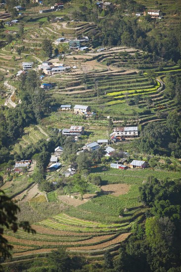 Terraced fields fields in Nagarkot