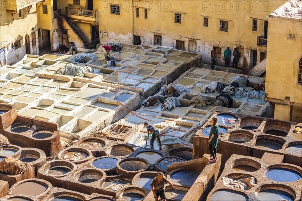 Famous skin tannery in Fes