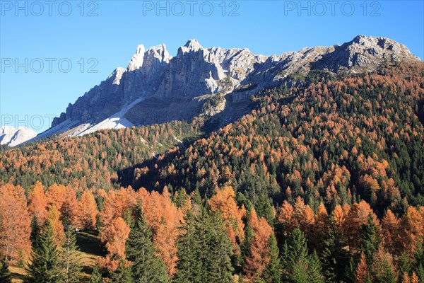 Autumn landscape at the Wuerzjoch