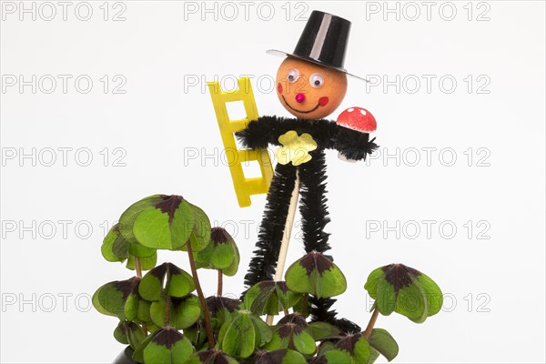 Chimney sweep with lucky clover for good luck