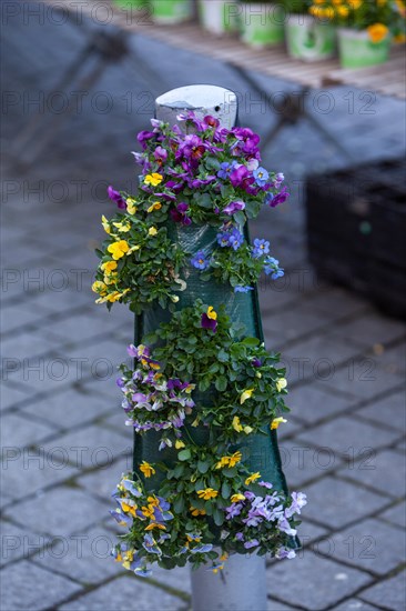 Day and night shade hung to grow on a post