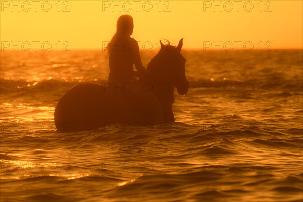 Horsewoman