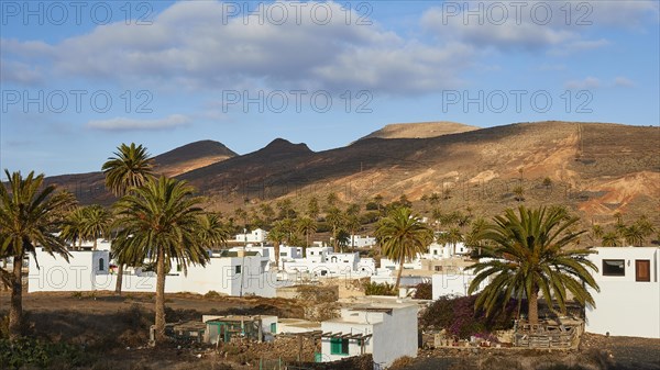 White houses