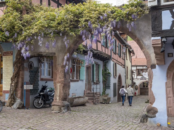 Arched entrance to the neighbouring street