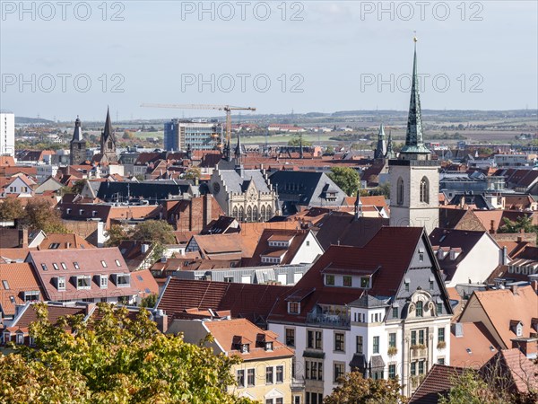 Panorama of the city from the view of the Petersberg Citadel