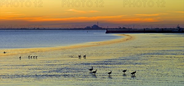 Evening mood on the Elbe