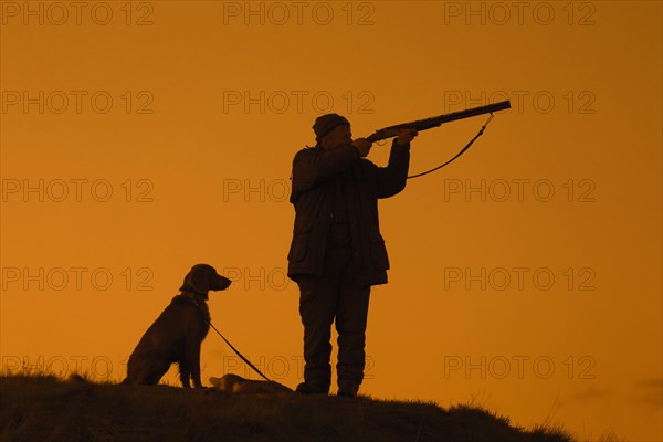 Hunter in meadow at sunset