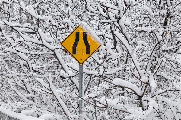 Road direction sign in winter