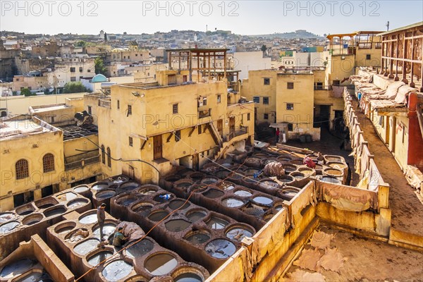 Famous skin tannery in Fes