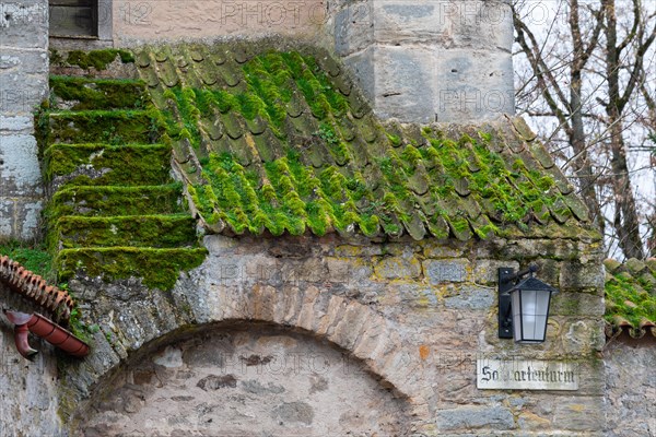 Mossy roof