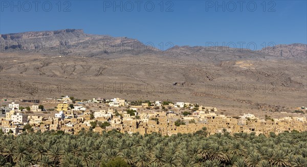 Abandoned ghost town of Al Hamra with Hajar Mountains in the background